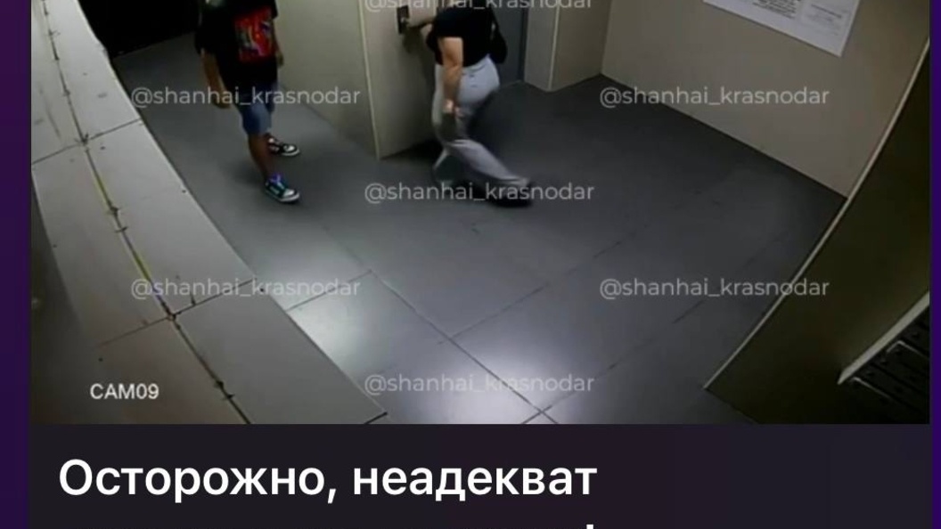    Фото: пресс-служба УМВД РФ по Краснодару