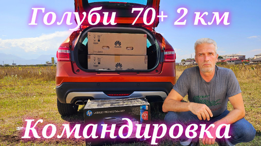 Голуби 70+ командировка 2 км