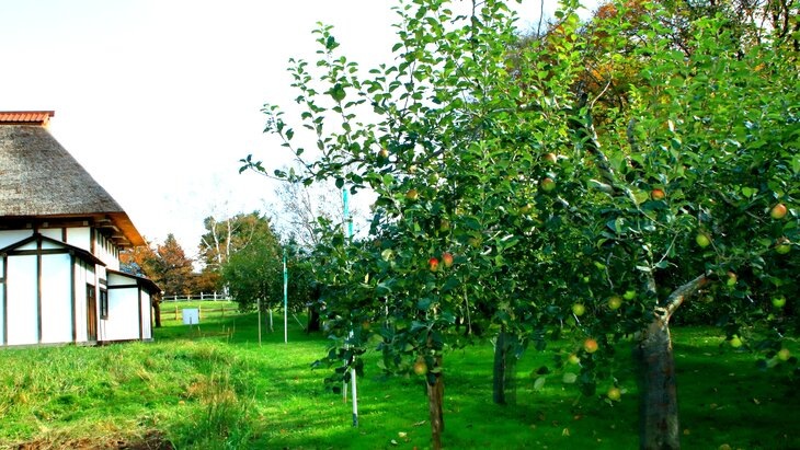 Фото: 123RF/tasch8790 