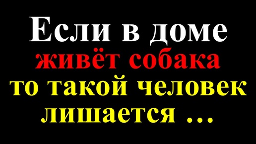 Монахи говорят, что если в доме живёт собака, то такой человек лишается благодати