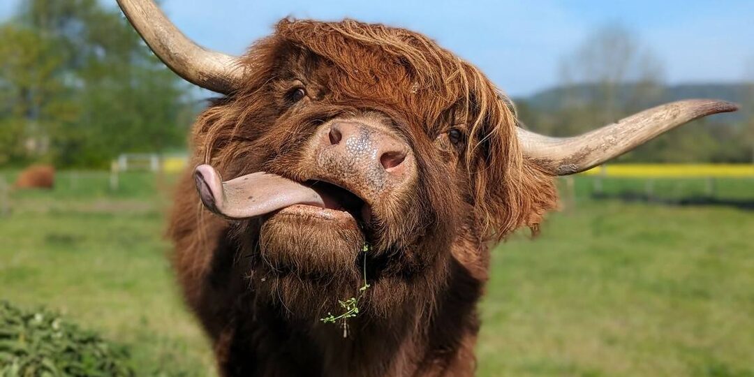 Снимки, которые может сделать каждый - снято на смартфон! (лучшие фото 2024)