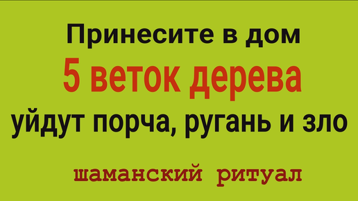 Из дома уйдёт порча, ругань и зло. Принесите в дом ветки дерева. Шаманский ритуал