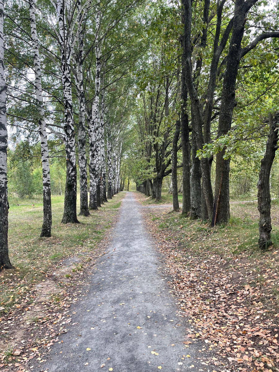 Экологическая тропа в Нижнем