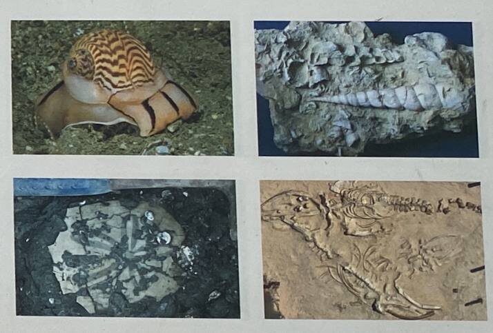 фото со стенда