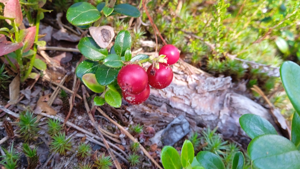 Фото из личного архива