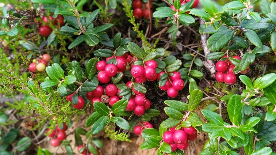 Фото из личного архива