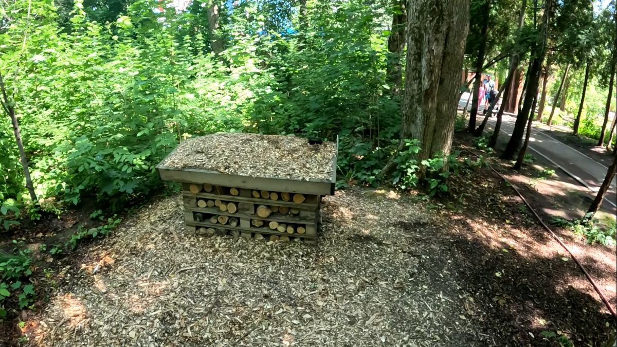 Отель для насекомых