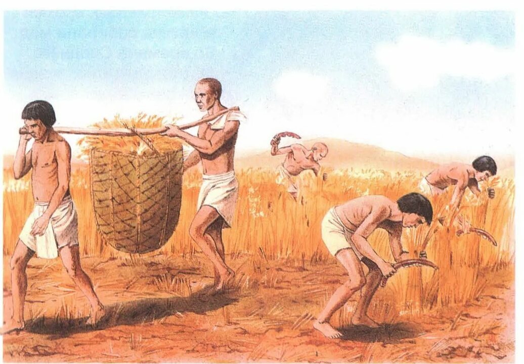 Земледельцы работают  на поле.