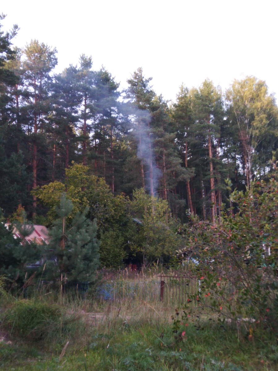 Видите, дым тянется в лес?