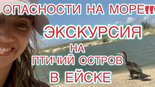 ОПАСНОСТИ НА МОРЕ‼️ЭКСКУРСИЯ НА ПТИЧИЙ ОСТРОВ В ЕЙСКЕ 😍☀️