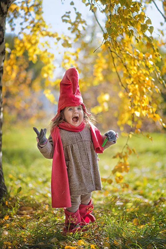 Осенний гном