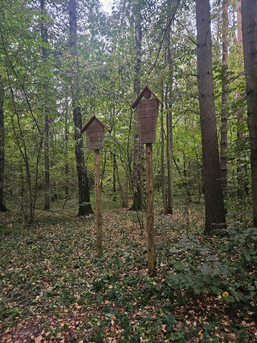 Вход в Разочарованный лес. фото автора