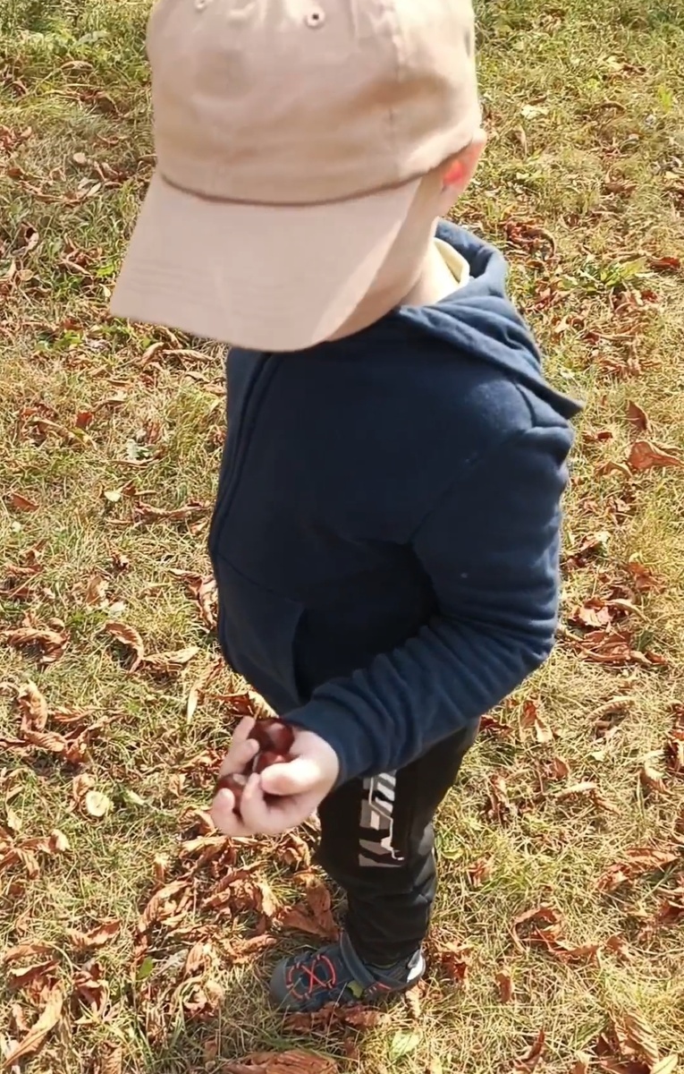 Тёплые осенние денёчки . Доросли до осенних поделок 🍁 