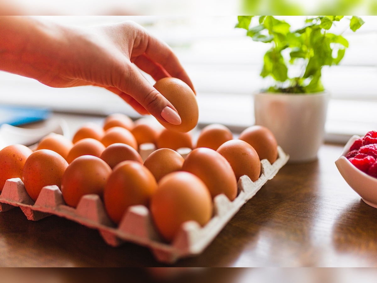 изображение из яндекс картинки