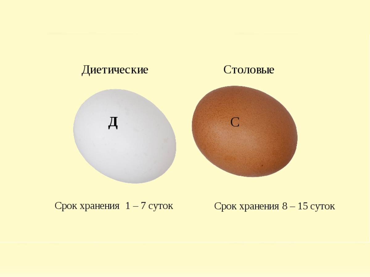 изображение из яндекс картинки