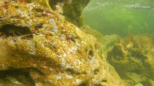 Черное Море подводное, голова Дракона