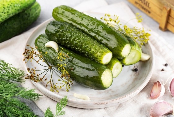    Готовим соленые огурцы холодным способом