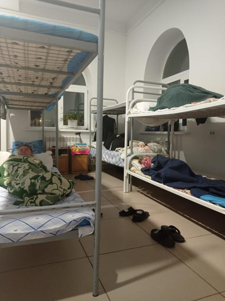 запах в приюте стоял, мягко говоря, специфический...