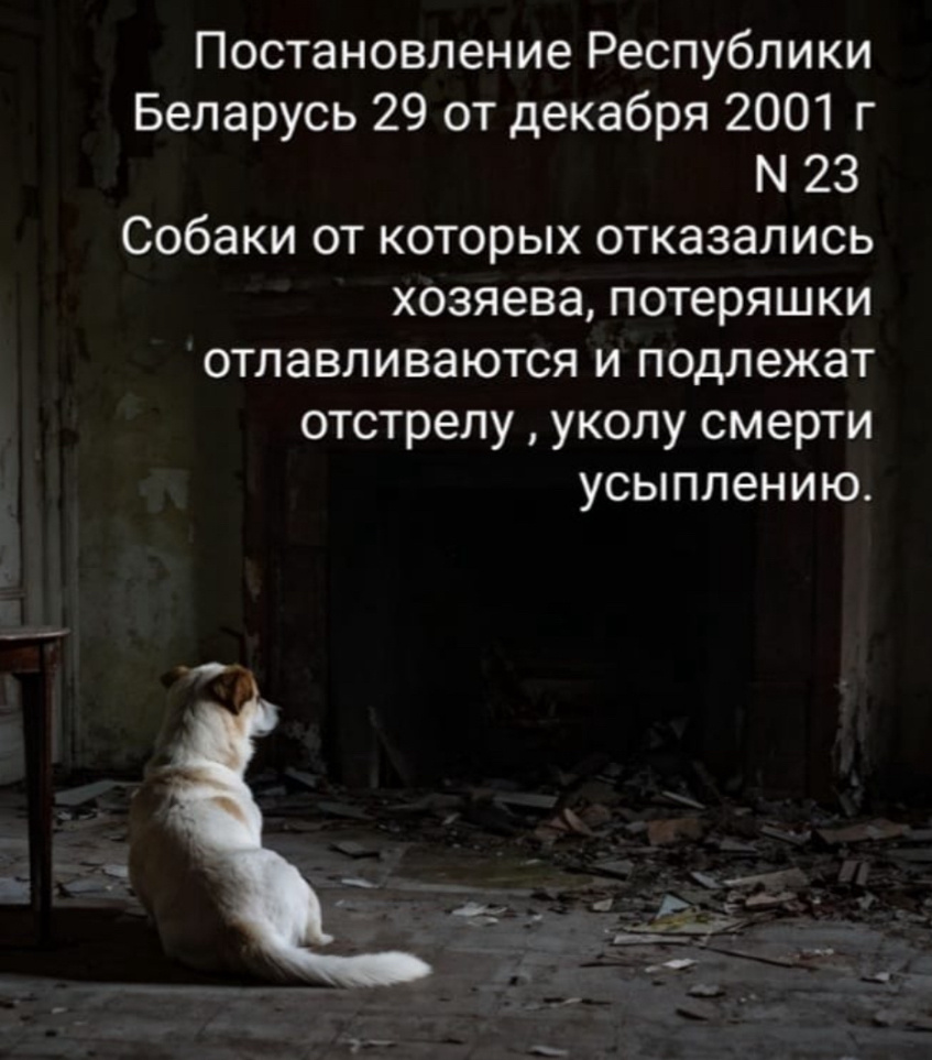 Не пытайся выяснять отношения с людьми которые тебя разочаровали. Девушка среди цветов. Цитаты про выяснение отношений. Просто оставь их. Уходя цитаты.