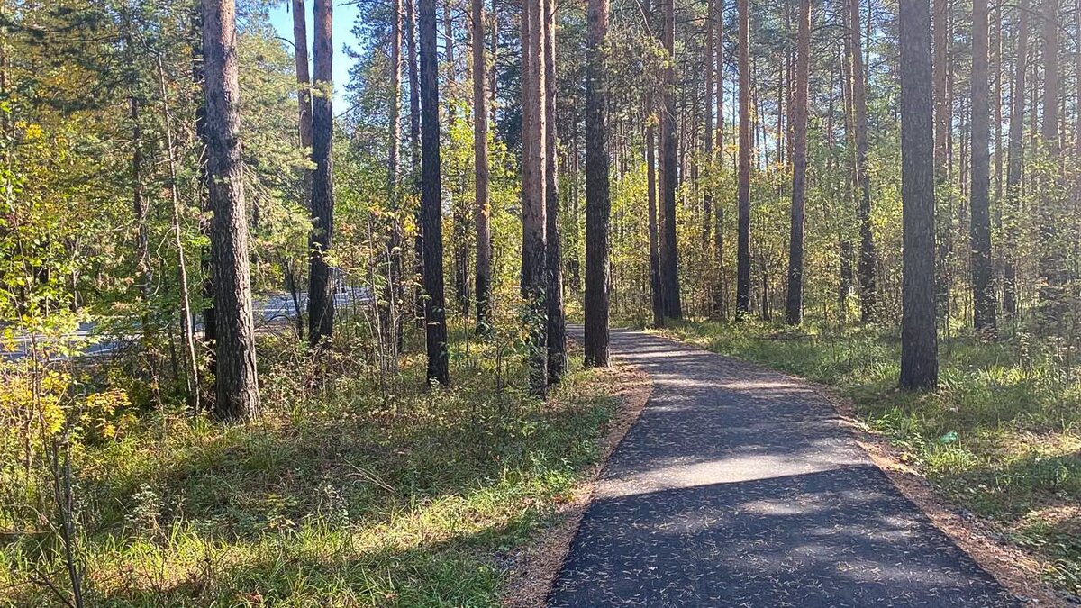     Источник: 1MI