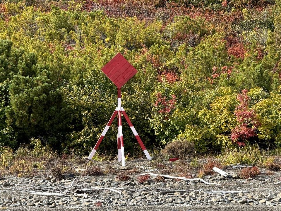 Фото: t.me/vladislav_kuznecov 