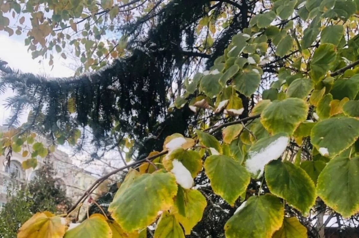    Первый снег выпал в одном из городов Иркутской области