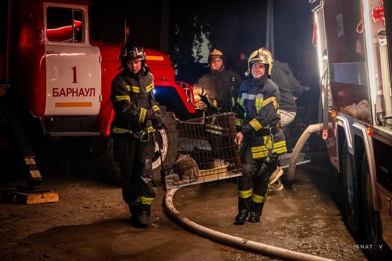 Листайте вправо, чтобы увидеть больше изображений