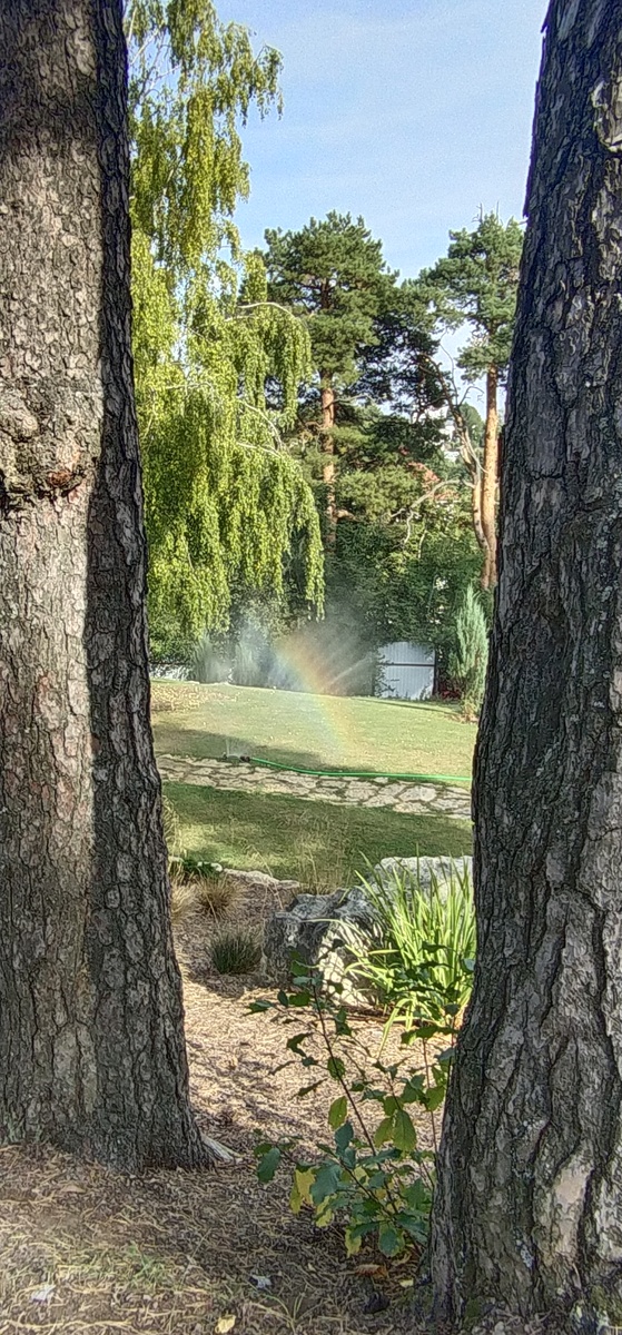 Личное фото