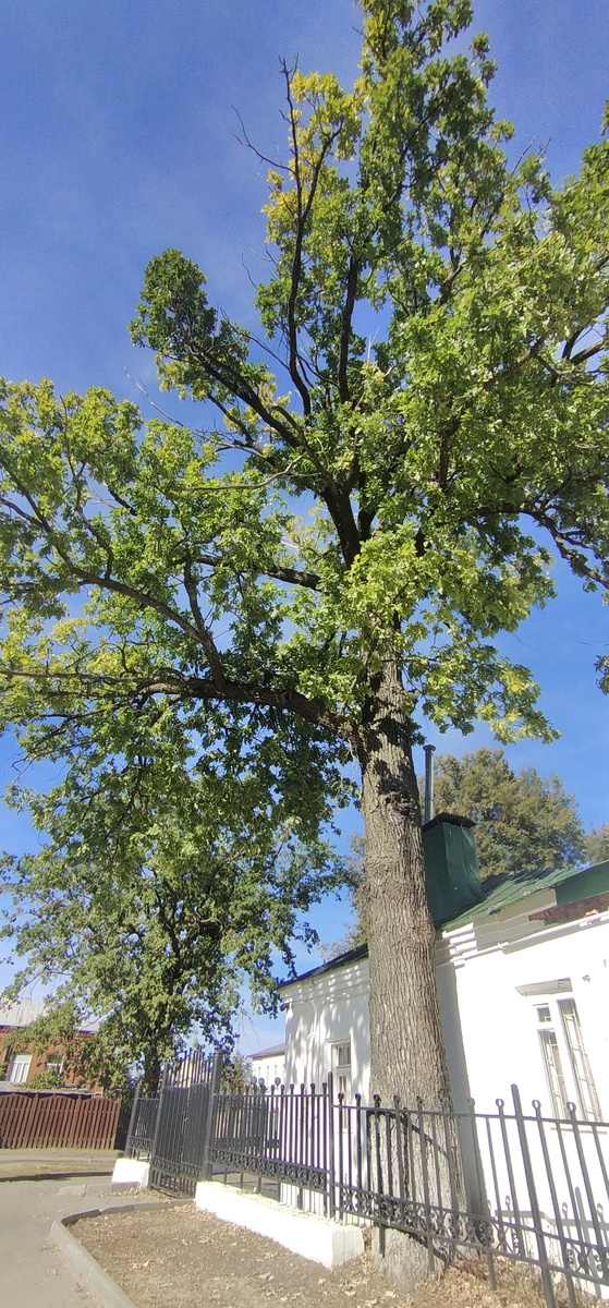 Личное фото