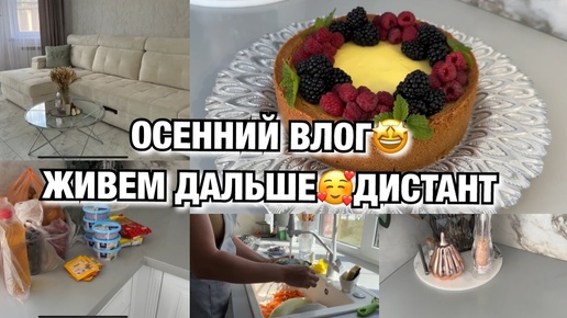 ОСЕННИЙ ВЛОГ! ЖИВЕМ ДАЛЬШЕ! ДИСТАНТ! ДЕЛАЕМ ЧИЗКЕЙК! Будни Мамы Влог