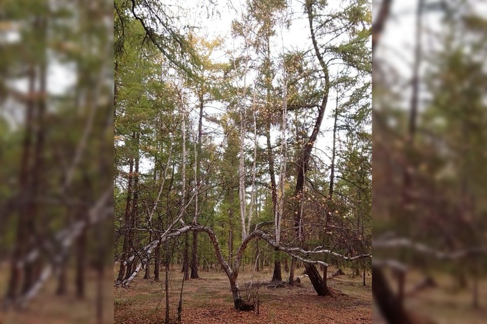 Фото: жители Горного района Якутии
