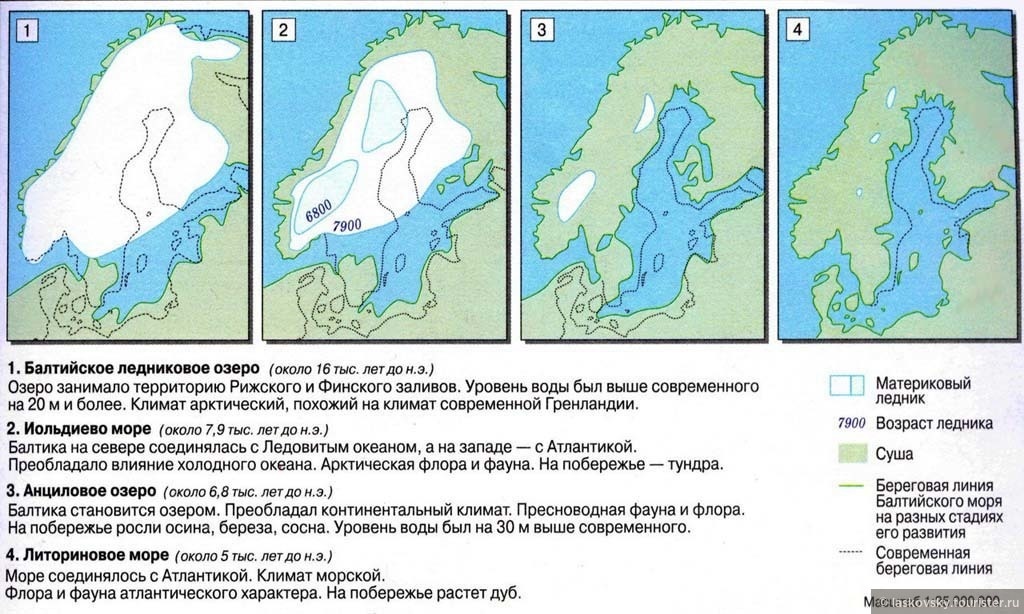Такова историческая картина освобождения Скандии от ледниковых масс.