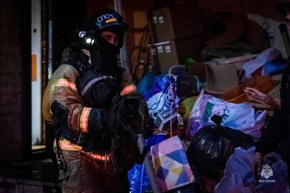    Помимо пожарных на месте трудились сотрудники приюта и волонтёры пресс-службы ГУ МЧС по Алтайскому краю