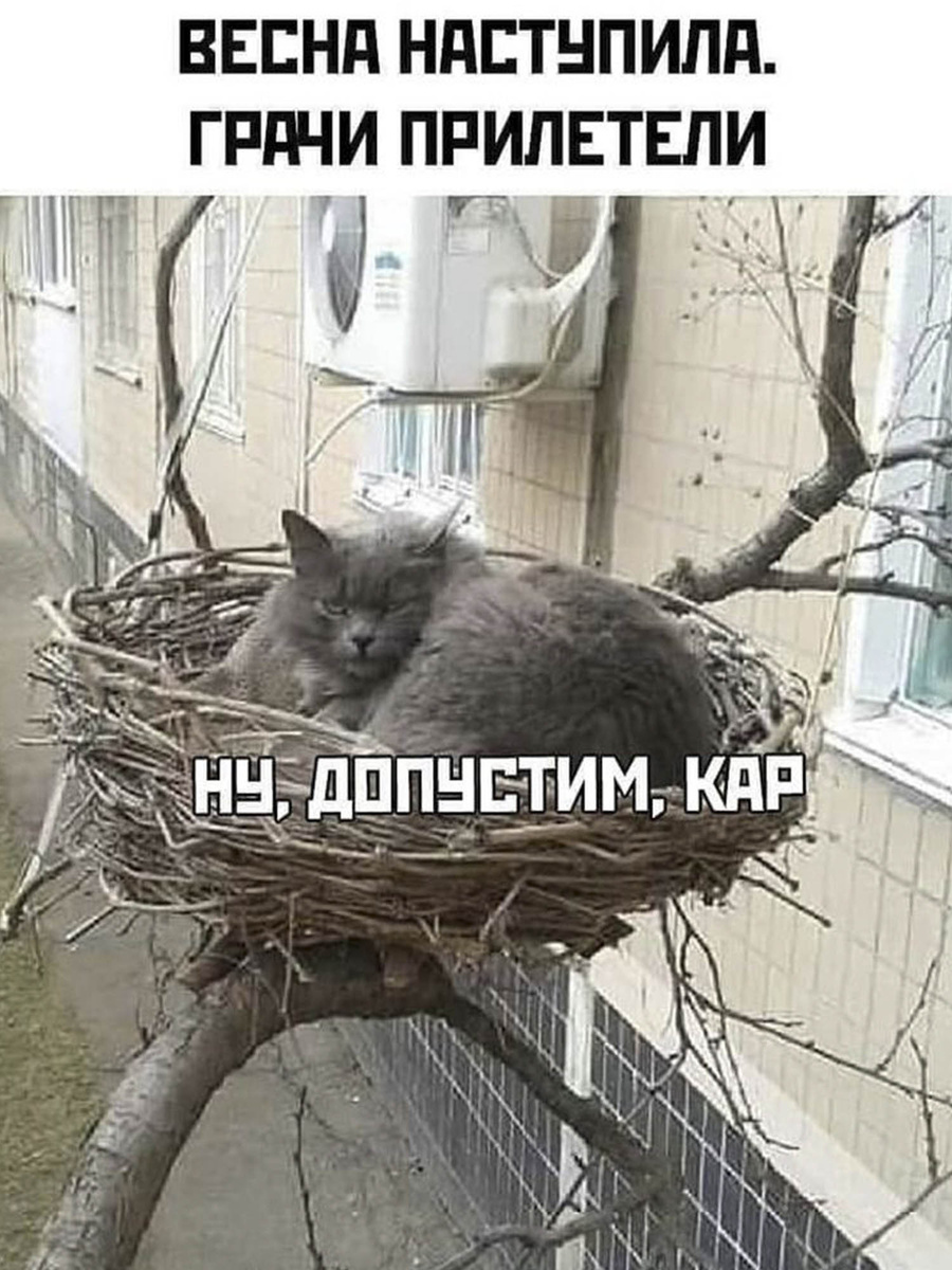 Ну так что у тебя