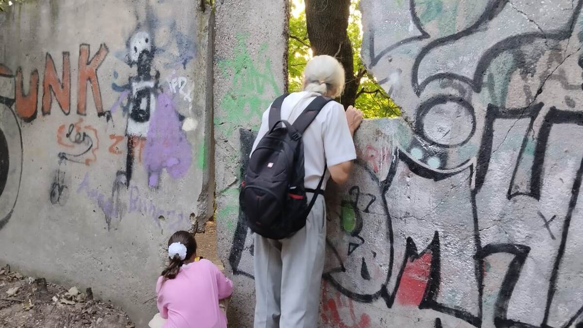 Дыры в бетонном заборе, Коробковский сад
