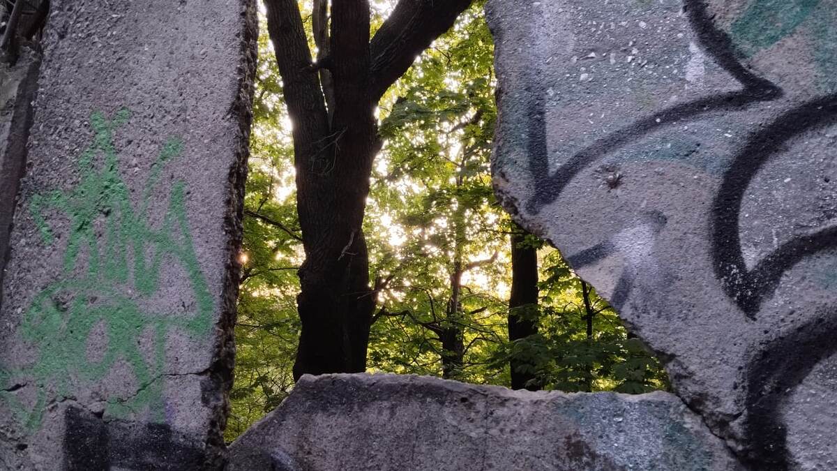 Дыры в бетонном заборе, Коробковский сад
