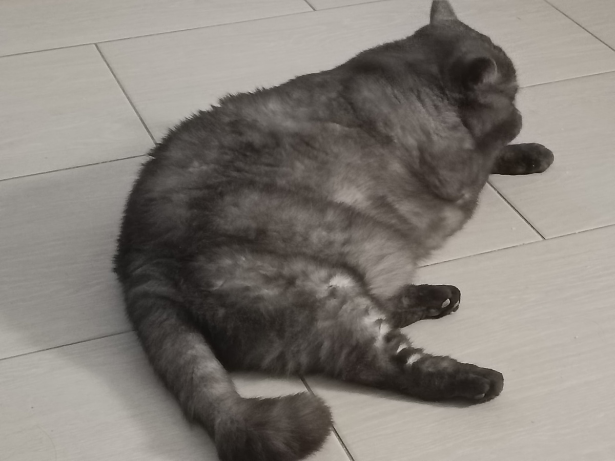 Снова на проходе. Умывается. Чистюля