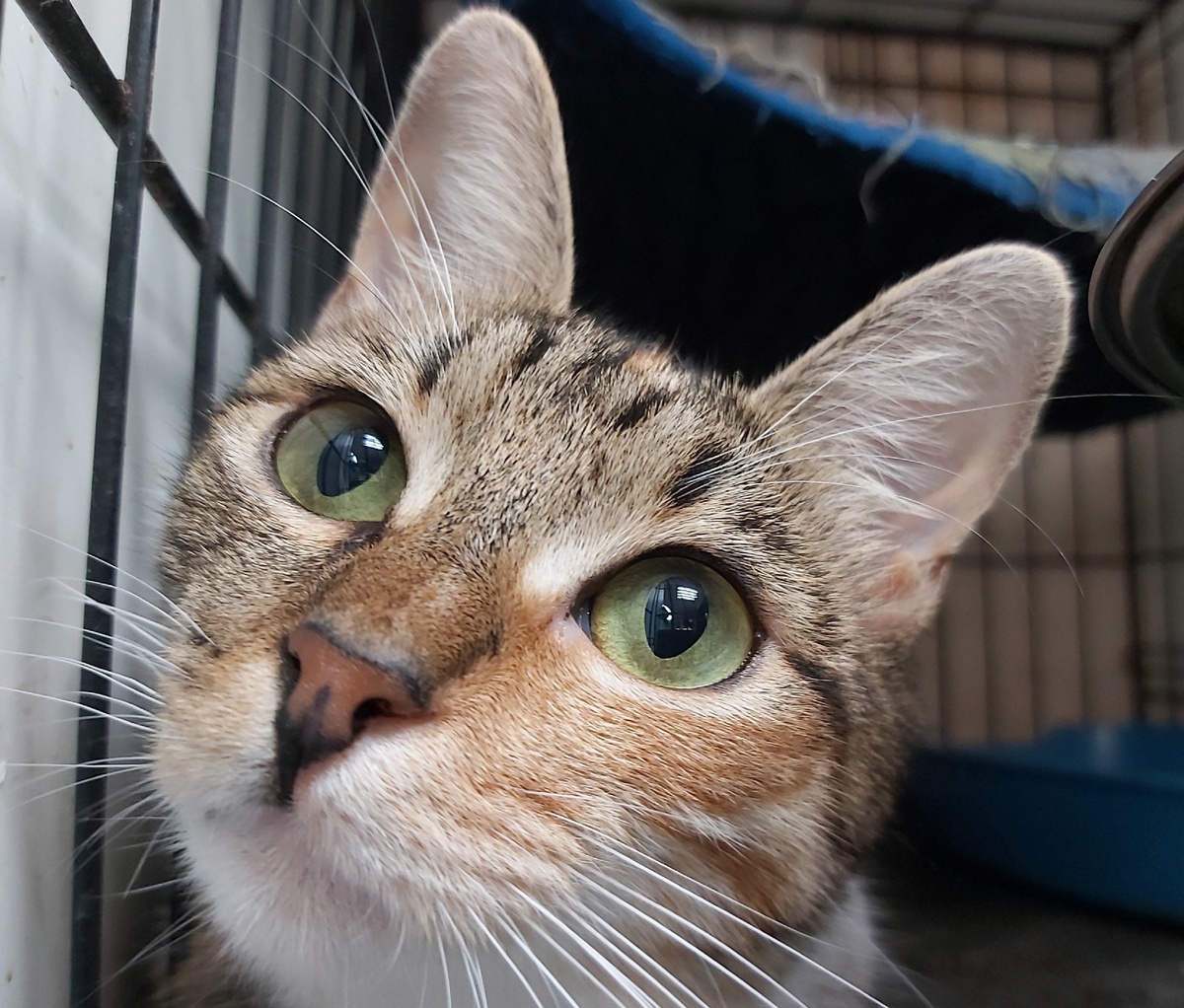 Айвори очень удивлена подобному поведению