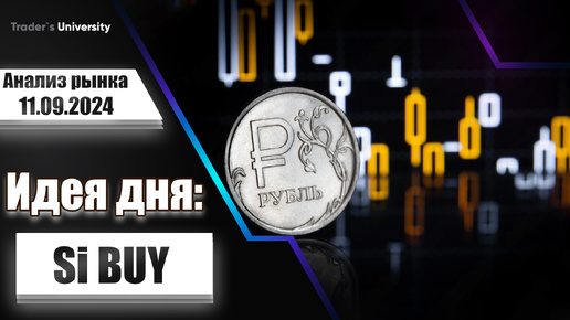 Анализ рынка 11 09 2024 Доллар Рубль Юань Биткоин Золото Нефть CME Forex