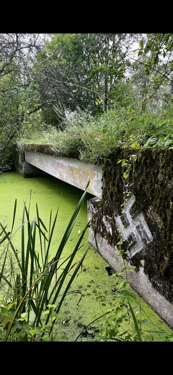 Один из мостов в лесах Калининградской области. Не является демонстрацией или пропагандой нацисткой символики, носит исключительно ознакомительный характер.