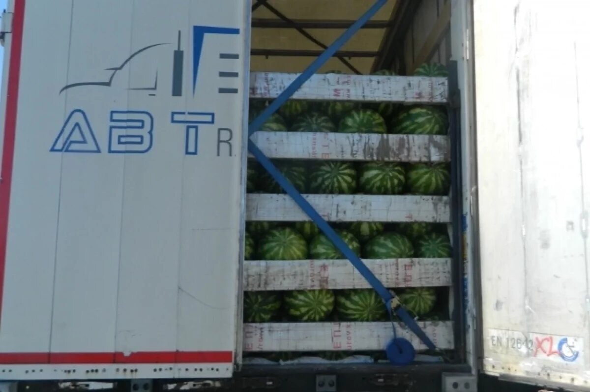    На Южный Урал хотели ввезти 80 тонн арбузов и дынь для фантомных адресатов