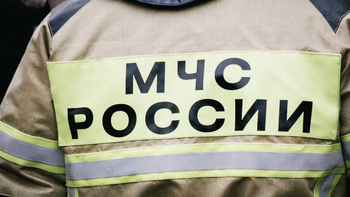     Источник: 1MI