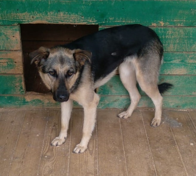 И ничего тут нет интересного в грусти