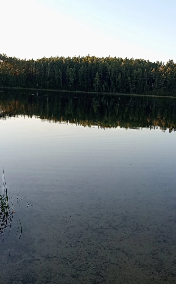 Озёрная гладь