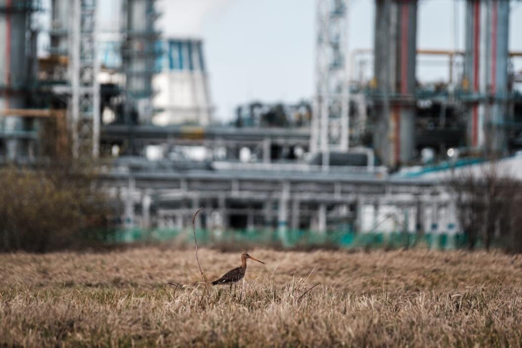 Фото: пресс-служба ООО «ЗапСибНефтехим»