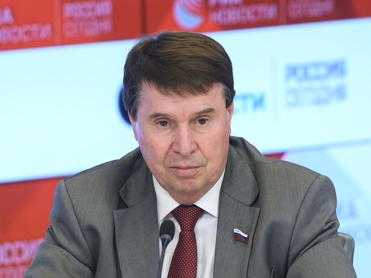    Член Комитета по международным делам Совета Федерации Сергей Цеков© РИА Новости / Нина Зотина
