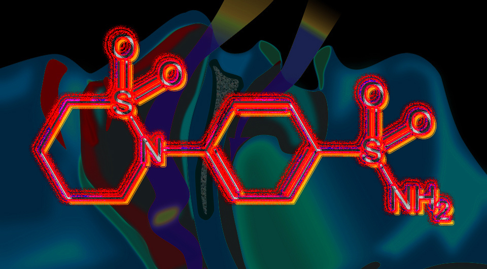   N + 1; Habib Mhenni / Wikimedia Commons / Public Domain; Fvasconcellos / Wikimedia Commons / Public Domain