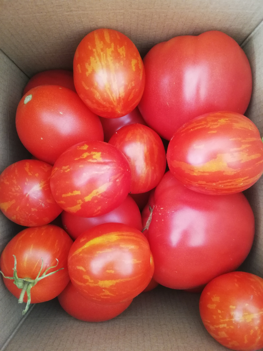 Ask! Конечно, оно того стоило! 