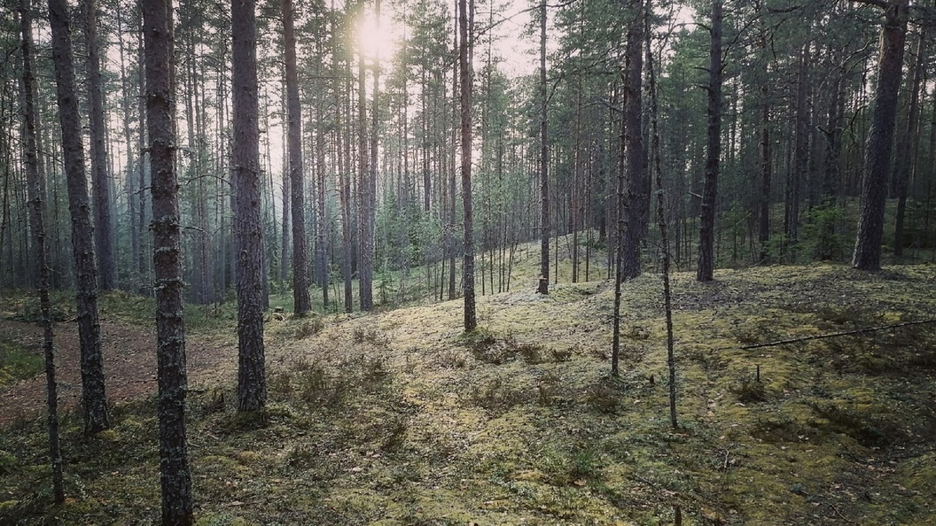    Фото: Ксения Дударева/Царьград