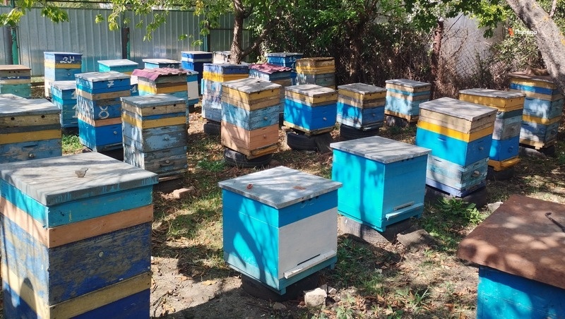      Фото: Фёдор Устинов / / ИА «Победа26»